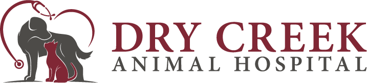 Dry Creek Animal Hospital Logo